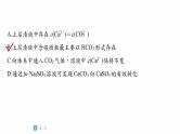 第一篇　主题十　选择题22　溶液中粒子浓度关系判断-2024年高考化学二轮复习课件