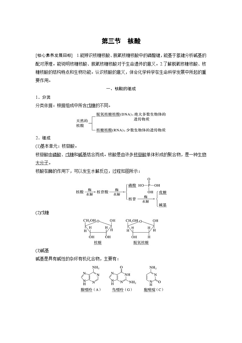 2024年高中化学新教材同步讲义 选择性必修第三册  第4章　第3节　核酸（含解析）01