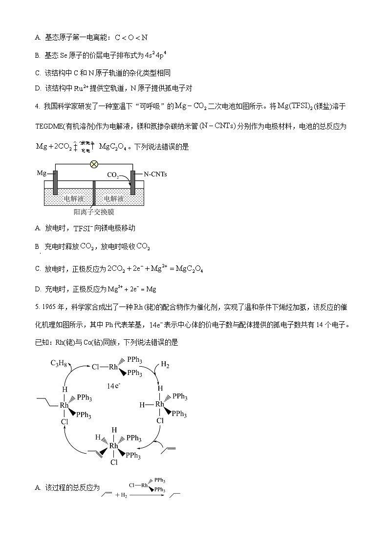 云南省保山市2023-2024学年高三上学期1月期末化学试题（Word版附解析）02