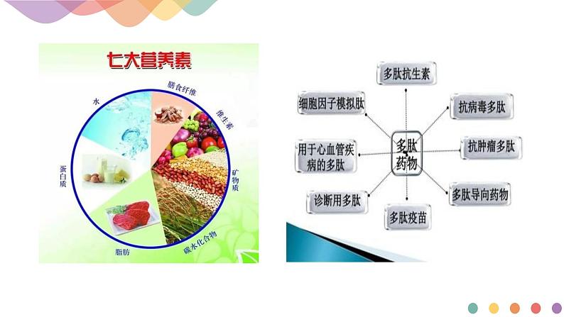 【新教材精创】2.4.3  氨基酸和蛋白质   课件—鲁科版选择性必修3（共19张PPT）第3页