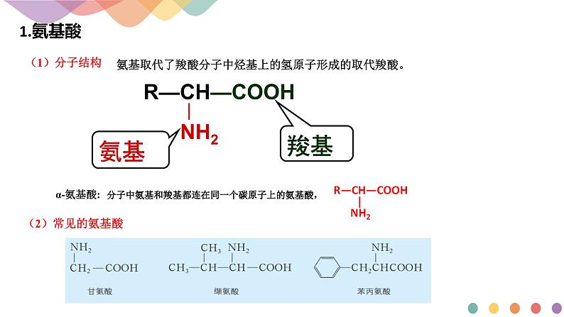 【新教材精创】2.4.3  氨基酸和蛋白质   课件—鲁科版选择性必修3（共19张PPT）第5页