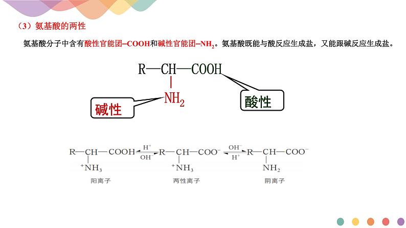 【新教材精创】2.4.3  氨基酸和蛋白质   课件—鲁科版选择性必修3（共19张PPT）第6页