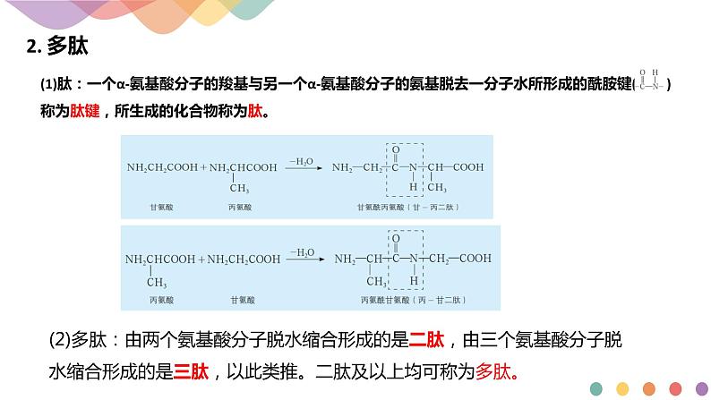 【新教材精创】2.4.3  氨基酸和蛋白质   课件—鲁科版选择性必修3（共19张PPT）第8页