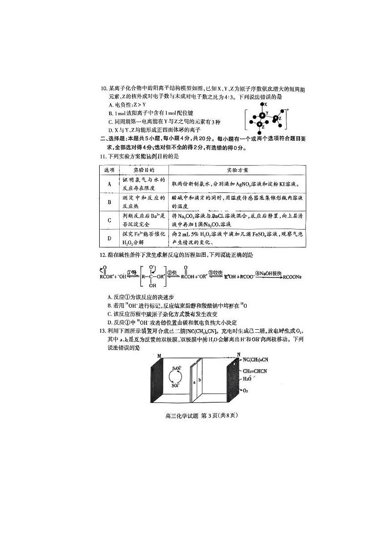 2024年山东日照市高三校标联合考试化学试题+答案（4.25日照二模）第3页