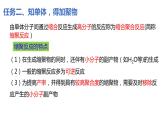 5.1 合成高分子的基本方法 课件2023-2024学年高二下学期化学人教版（2019）选择性必修三