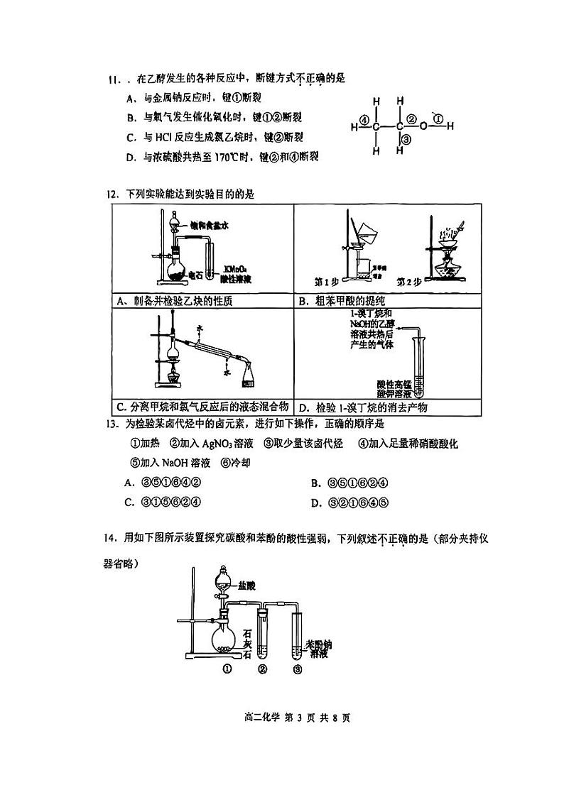 北京市育才学校2023-2024学年高二下学期期中考试化学试题第3页