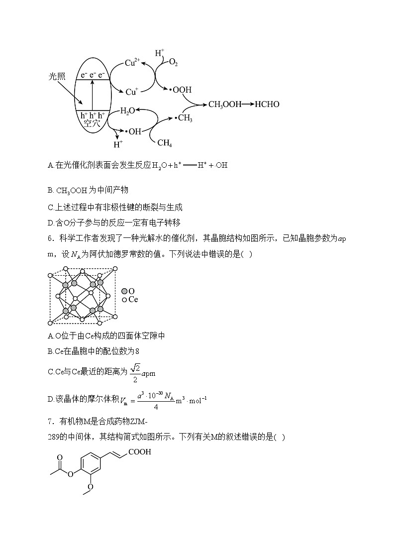 山东省聊城市2024届高三下学期高考一模化学试卷(含答案)第2页