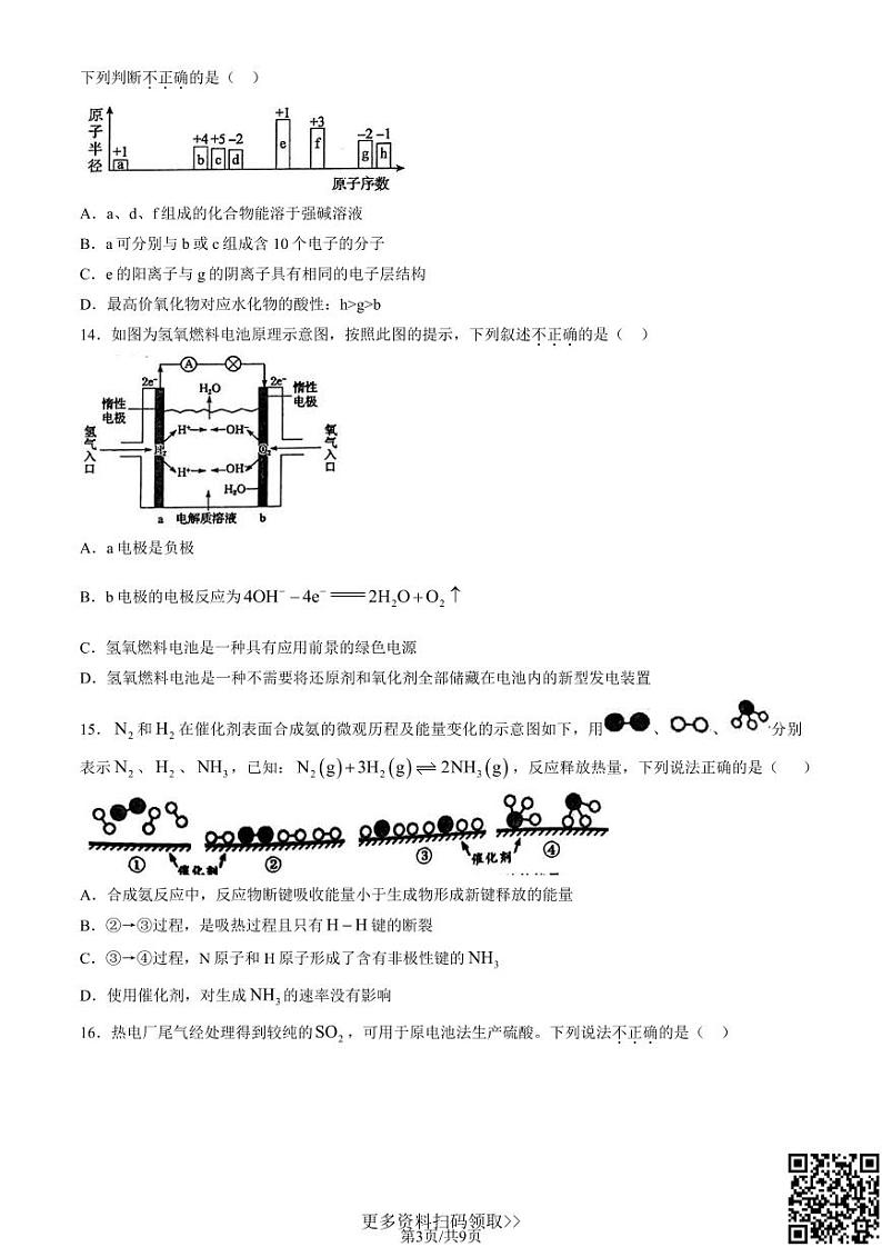 2024北京交大附中高一下学期期中化学试卷第3页