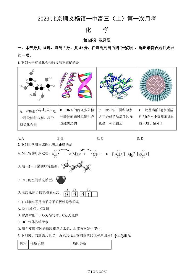 2023北京顺义杨镇一中高三上学期12月月考化学试卷及答案第1页