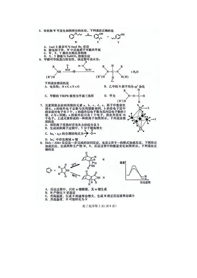 2024届山东省潍坊市高三上学期化学期末试题第2页