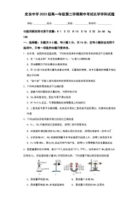 海南省定安县定安中学2023-2024学年高一下学期4月期中考试化学试题