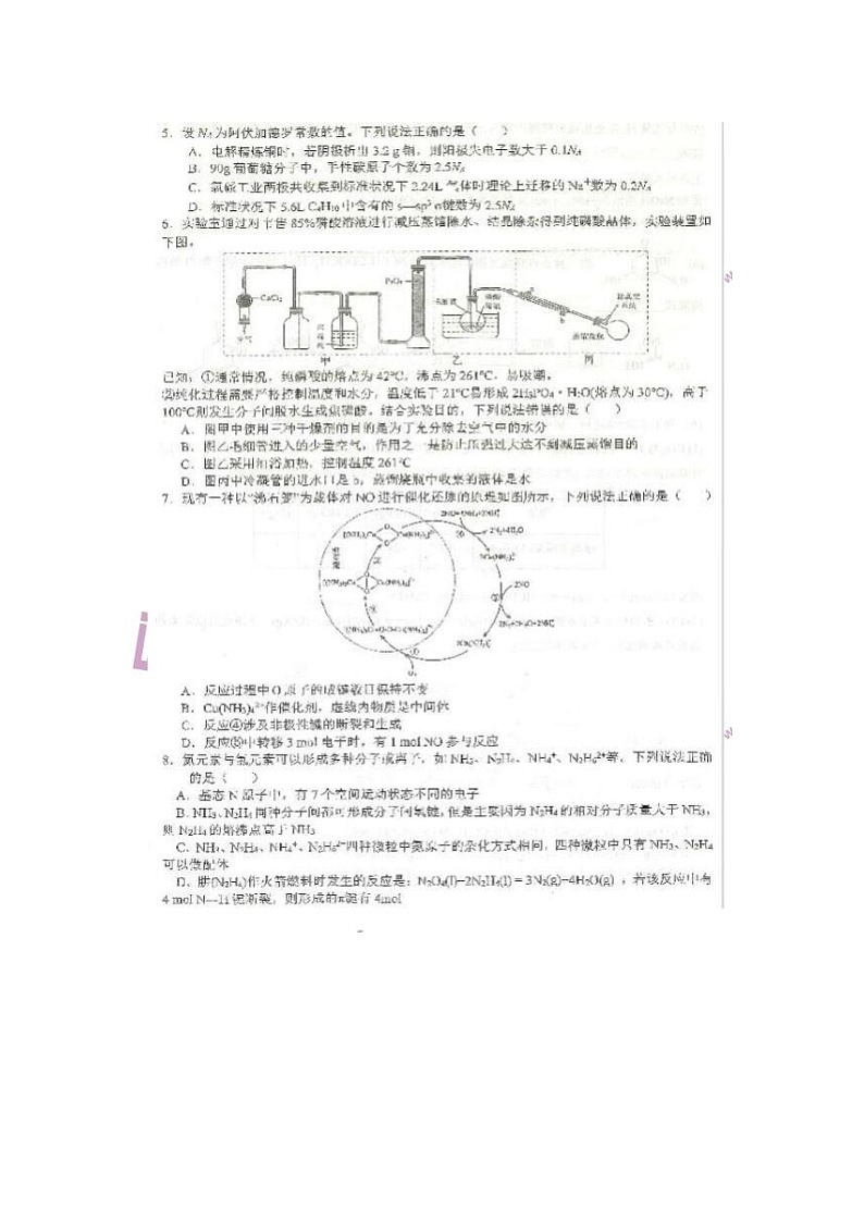 2024届湖北省重点十一校高三第二次联考化学试题第2页