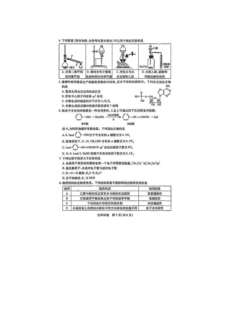 2024届湖北省高三下学期4月调研考试化学试题第2页
