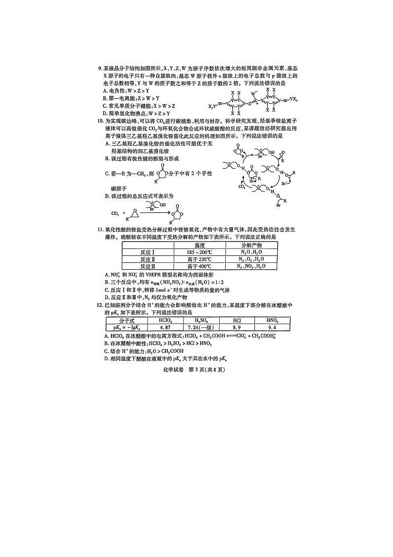 2024届湖北省高三下学期4月调研考试化学试题第3页