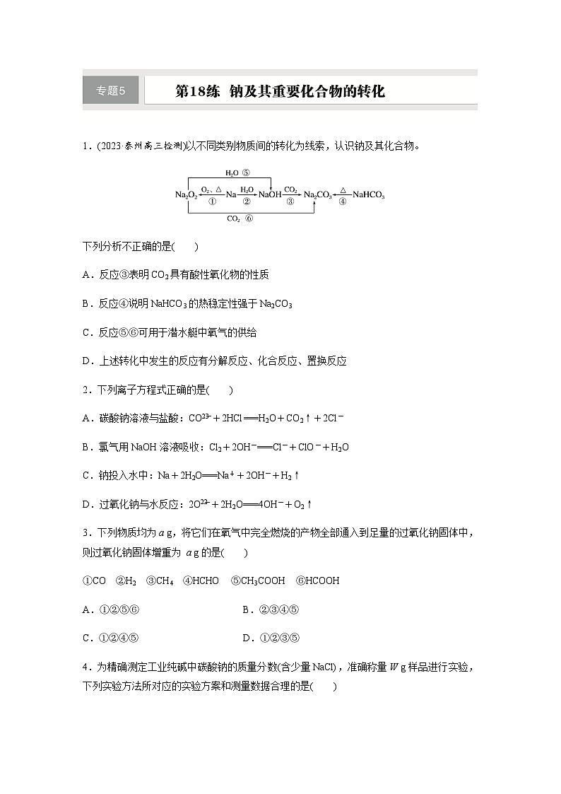 第18练　钠及其重要化合物的转化  同步练习（含答案）-2025年高考化学一轮复习第1页