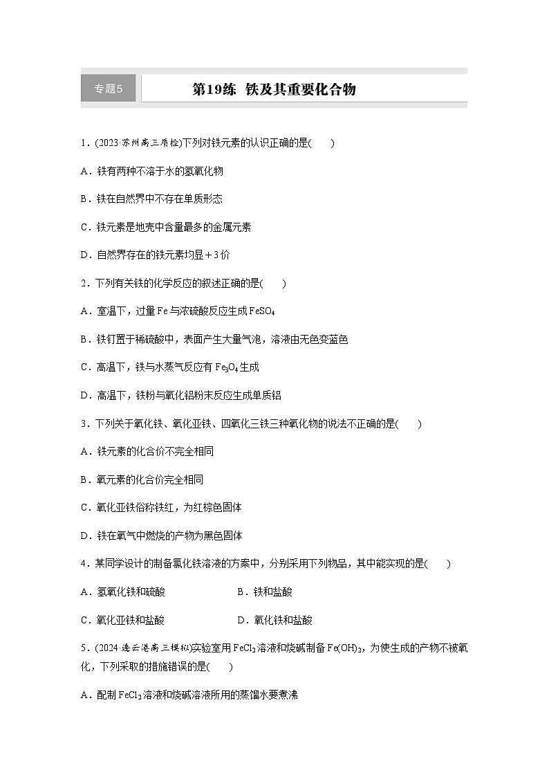 第19练　铁及其重要化合物  同步练习（含答案）-2025年高考化学一轮复习第1页