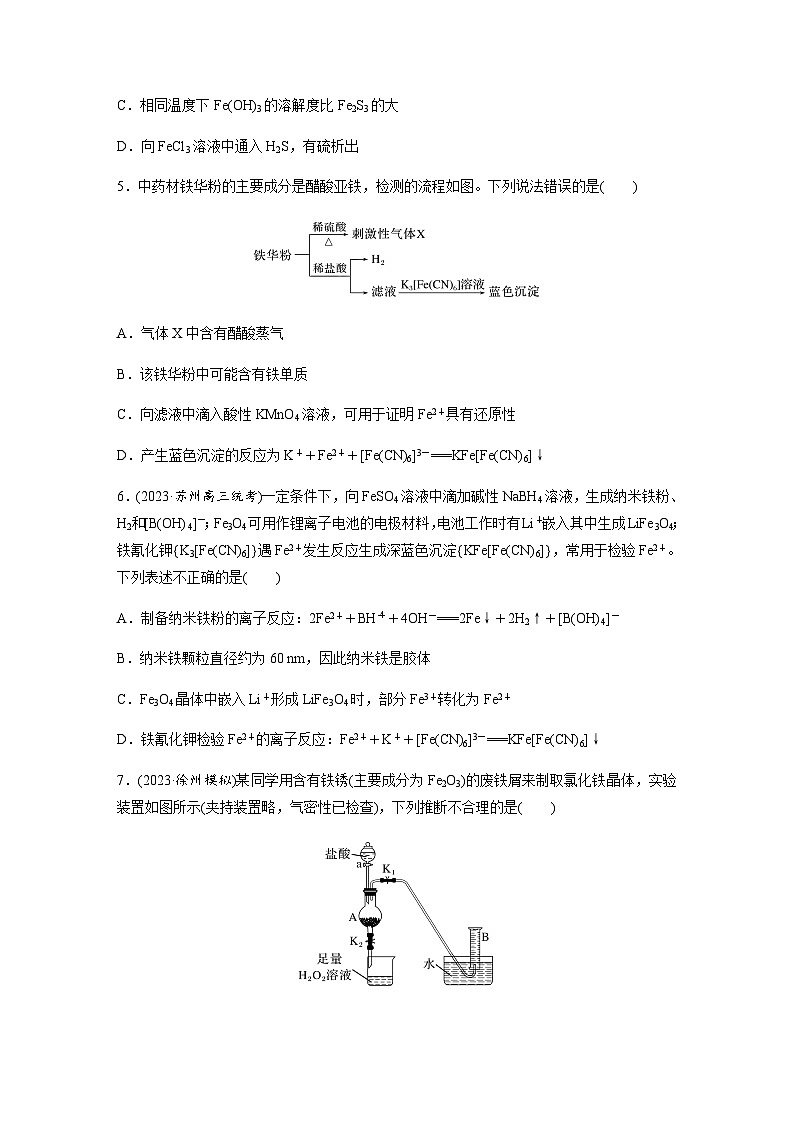 第20练　铁及其重要化合物的转化关系  同步练习（含答案）-2025年高考化学一轮复习第2页