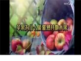 7.2.1乙烯  课件  2023-2024学年高一下学期化学人教版（2019）必修第二册