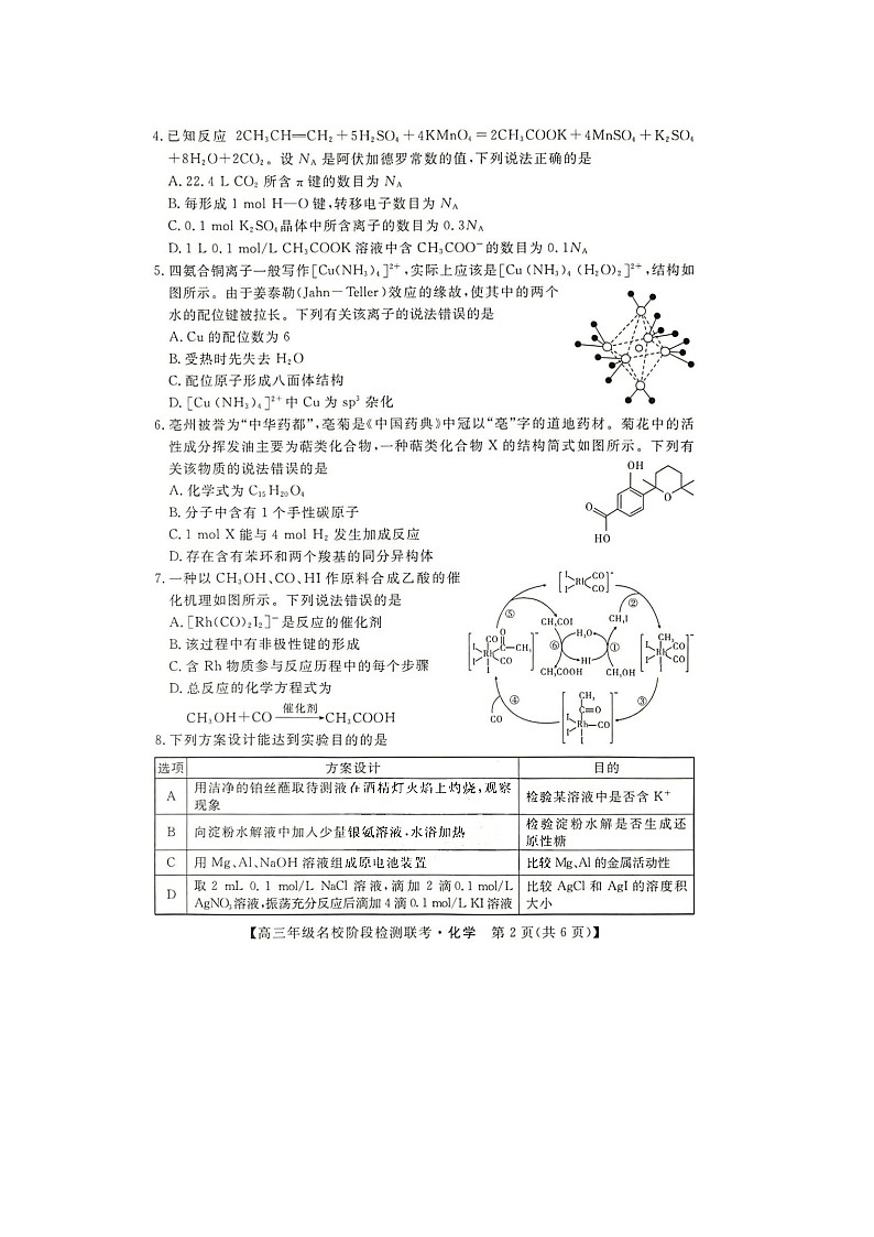 2024届安徽省“耀正优+”高三名校期末上学期化学试题第2页