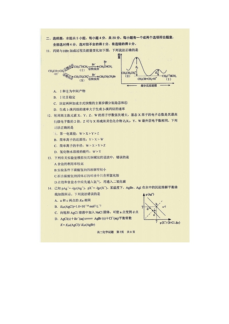 2023届山东省枣庄市高二上学期化学期末考试题第3页