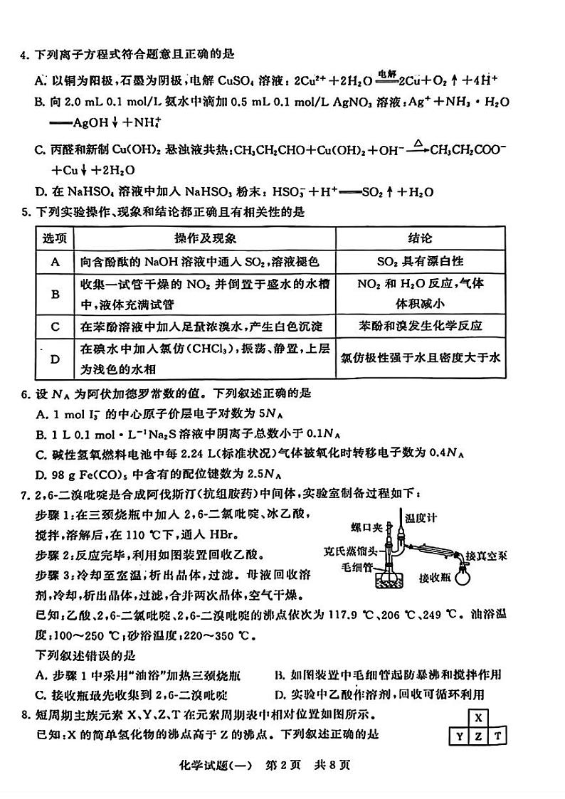 2024湖北省T8联盟高三下学期压轴考试（一模）化学PDF版含解析第2页