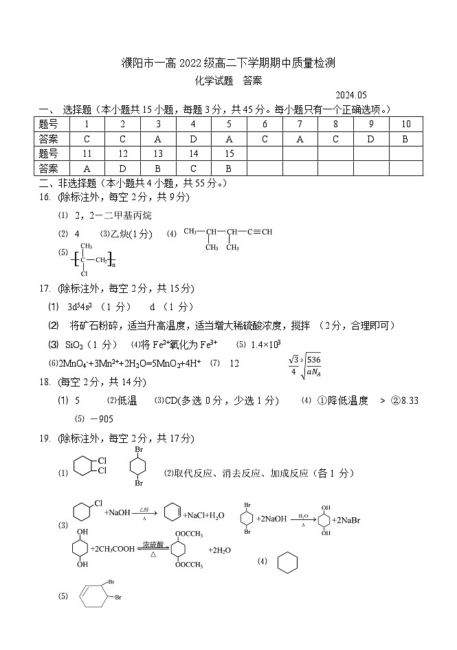 河南省濮阳市第一高级中学2023-2024学年高二下学期5月期中考试化学试题01