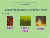 2024年同步备课高中化学7.1.1氮的固定课件苏教版必修第二册