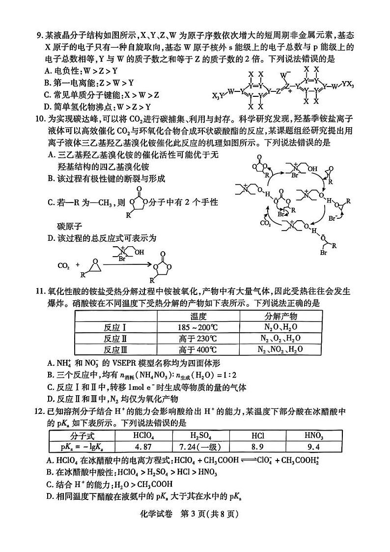 湖北省第九届2024届高三下学期4月调研模拟考试化学第3页