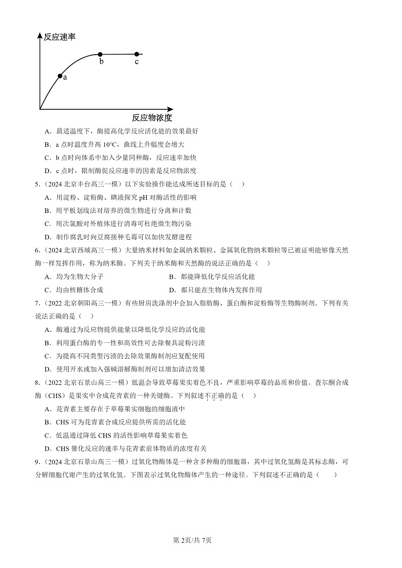 2022-2024北京高三一模生物汇编：降低化学试题分类反应活化能的酶02