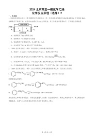 2024北京高三一模化学试题分类汇编：化学试题分类反应原理（选择）2