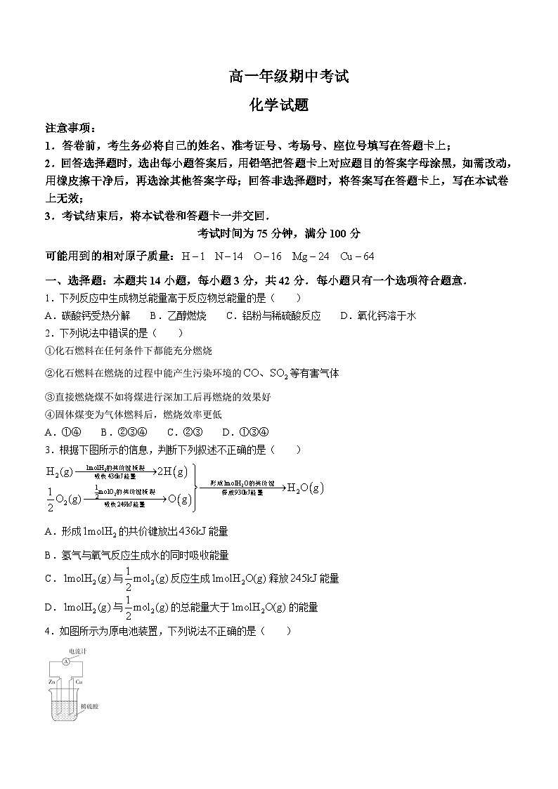 甘肃省酒泉市四校联考2023-2024学年高一下学期5月期中考试化学试题01