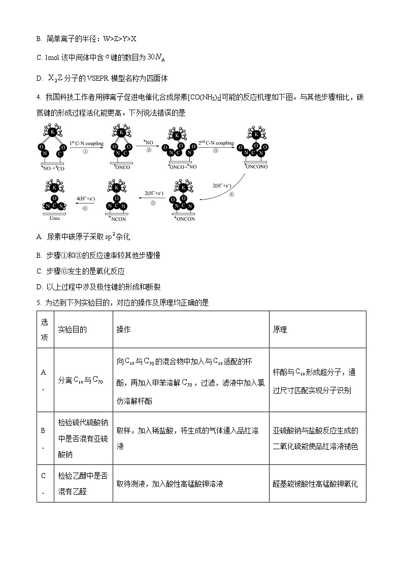 云南省2024届高三下学期一模化学 Word版无答案第2页