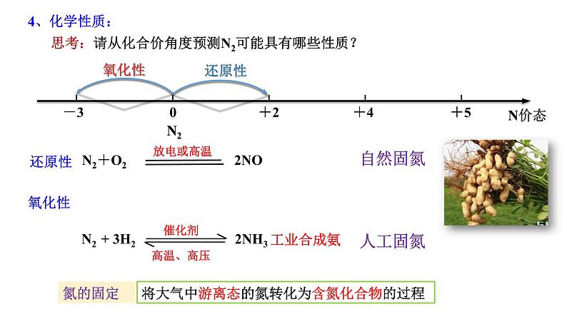 5.2 氮及其化合物课件人教版（2019）必修第二册（67页PPT）第3页