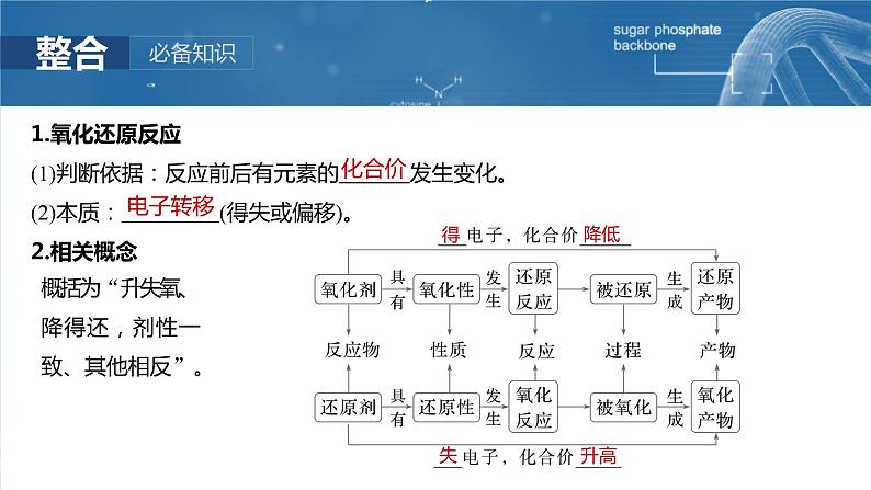 大单元一　第一章　第三讲　氧化还原反应的概念和规律-备战2025年高考化学大一轮复习课件（人教版）05