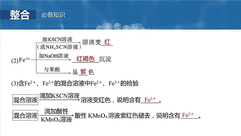 大单元二　第四章　第十三讲　铁盐、亚铁盐　铁及其化合物的转化-备战2025年高考化学大一轮复习课件（人教版）08