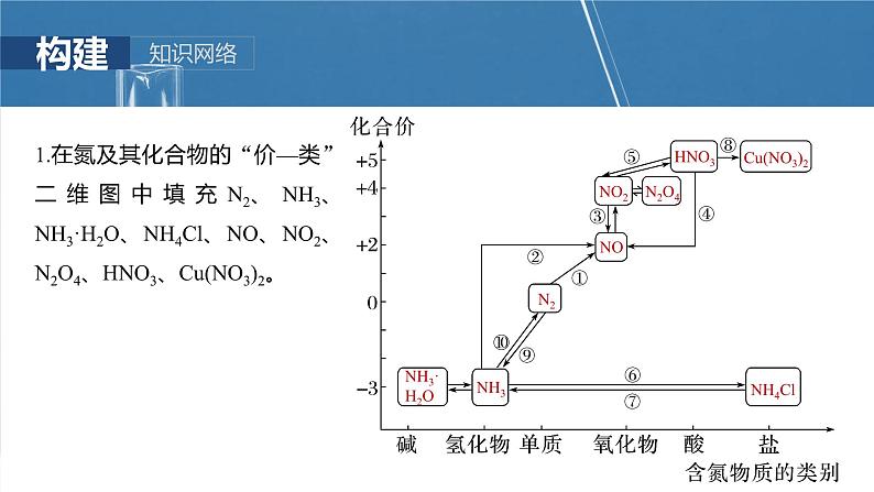 大单元二　第五章　第二十四讲　氮及其化合物的转化关系-备战2025年高考化学大一轮复习课件（人教版）03