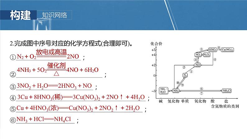 大单元二　第五章　第二十四讲　氮及其化合物的转化关系-备战2025年高考化学大一轮复习课件（人教版）04