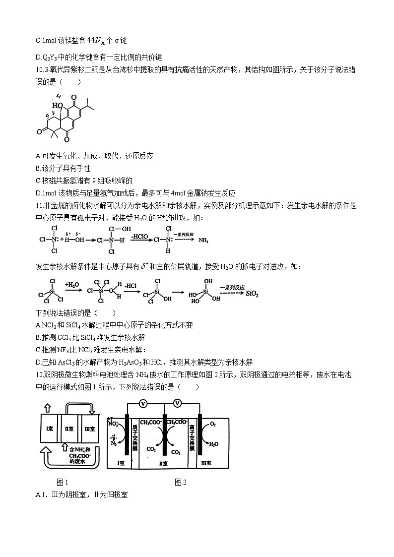 湖北省武昌区2024届高三下学期5月质量检测（二模）化学试题03