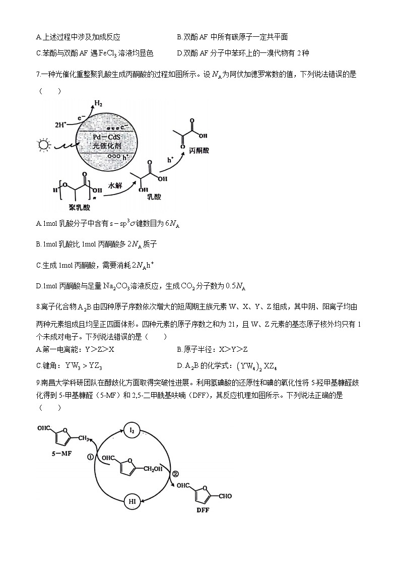 2024赣州高三下学期5月二模考试化学试题03