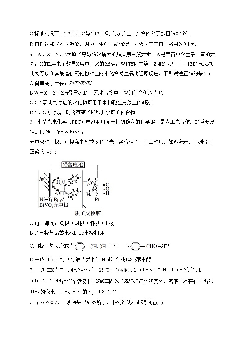 2024届高考理综热点核心卷—全国卷版(含答案)第2页