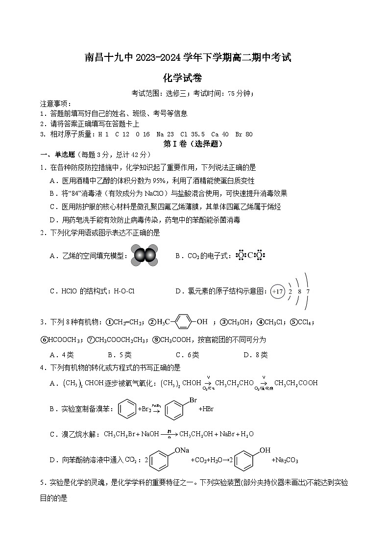 江西省南昌市第十九中学2023-2024学年高二下学期5月期中考试化学试题01
