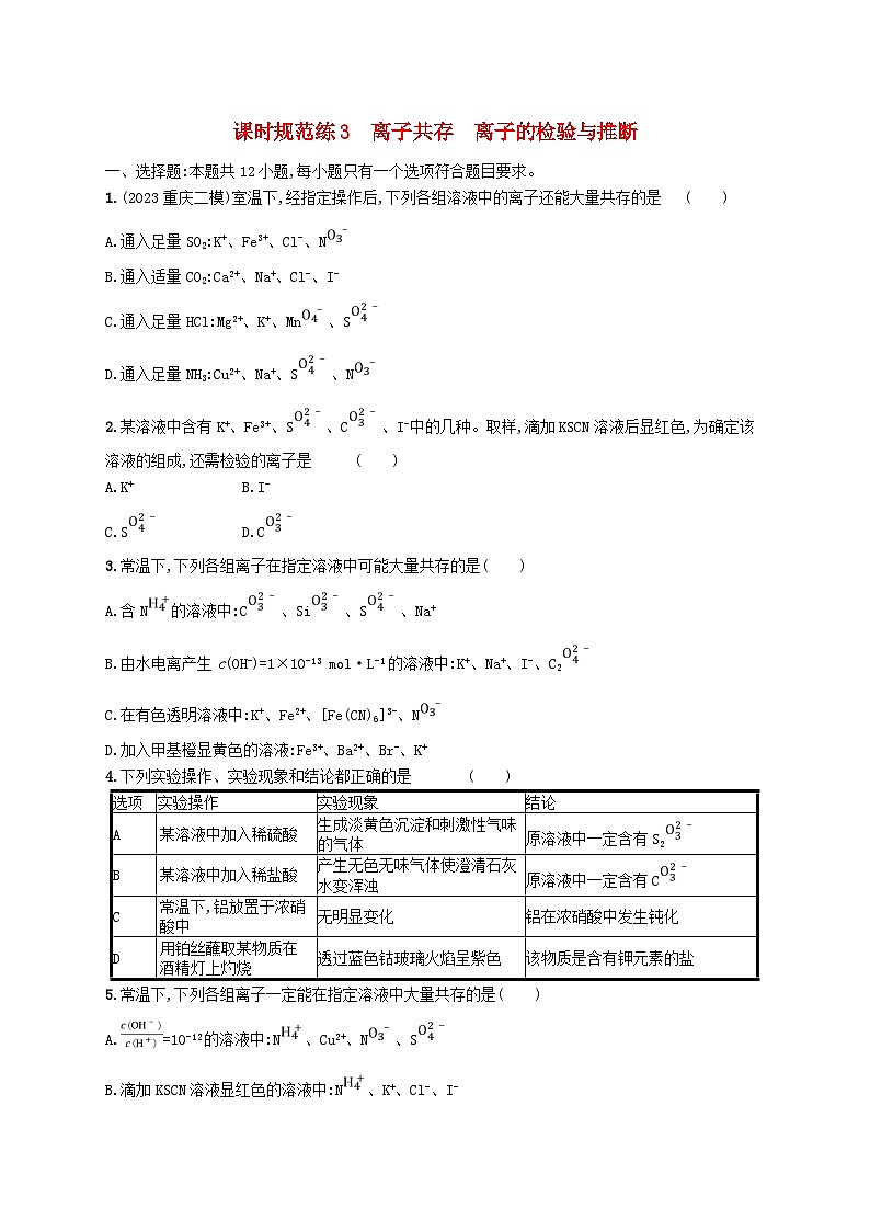 适用于新高考新教材广西专版2025届高考化学一轮总复习课时规范练3离子共存离子的检验与推断01