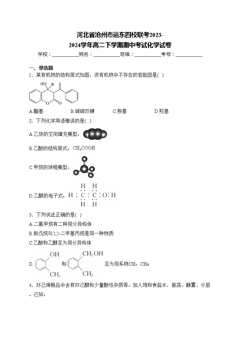 河北省沧州市运东四校联考2023-2024学年高二下学期期中考试化学试卷(含答案)01