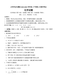 四川省泸州市龙马潭区2023-2024学年高二下学期5月期中考试化学试题（含答案）