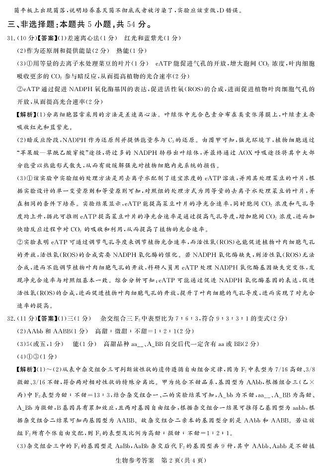 湘豫名校联考2024届高三下学期第四次模拟考试理综试卷-高中化学02