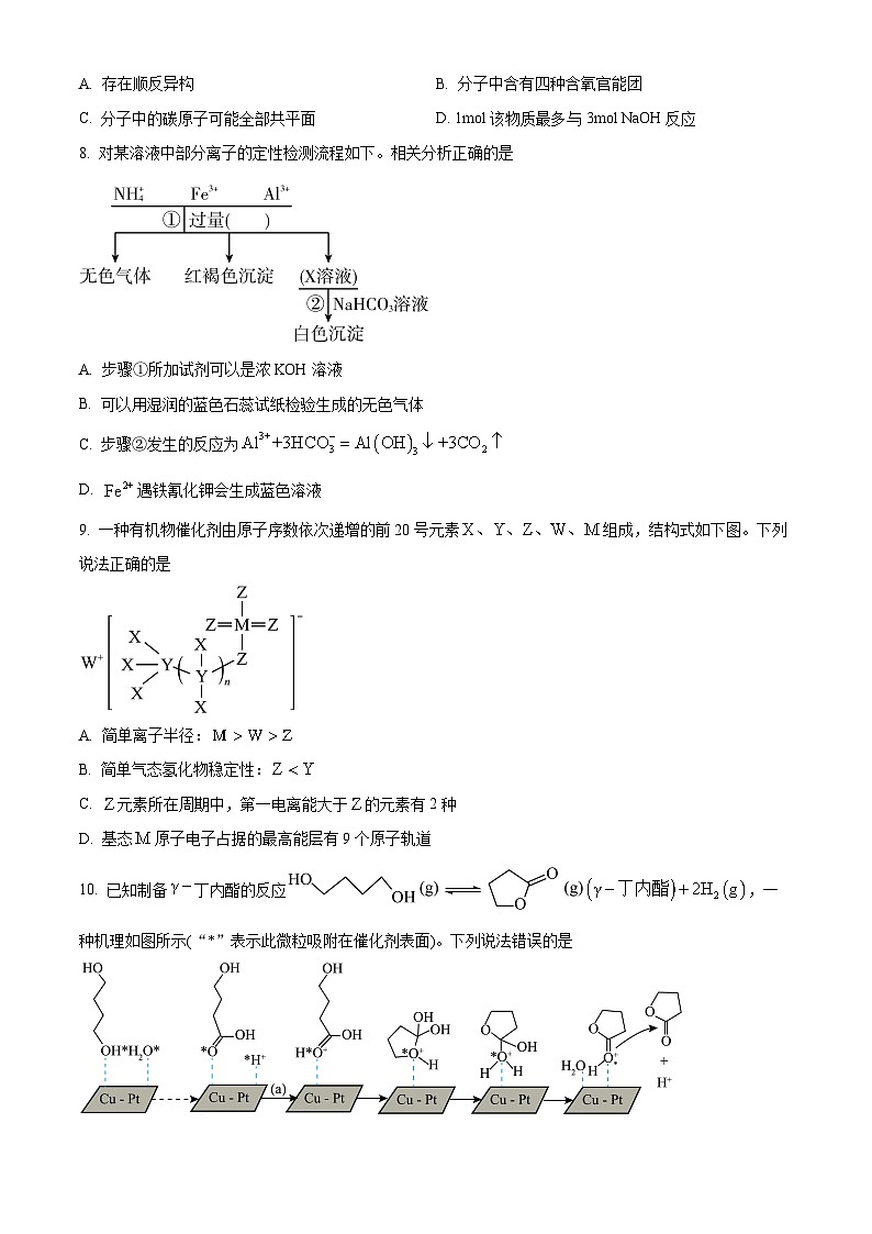 2024届山东省邹城市北大新世纪高级中学高三下学期第三次模拟考试化学试题（原卷版）第3页