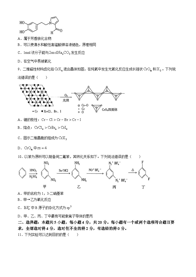 2024潍坊高二下学期5月期中考试化学含答案第3页