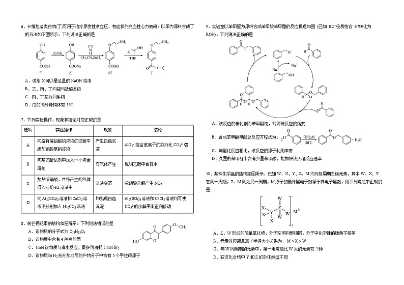 2024届吉林省长春市东北师范大学附属中学高三下学期第六次模拟考试化学试卷02