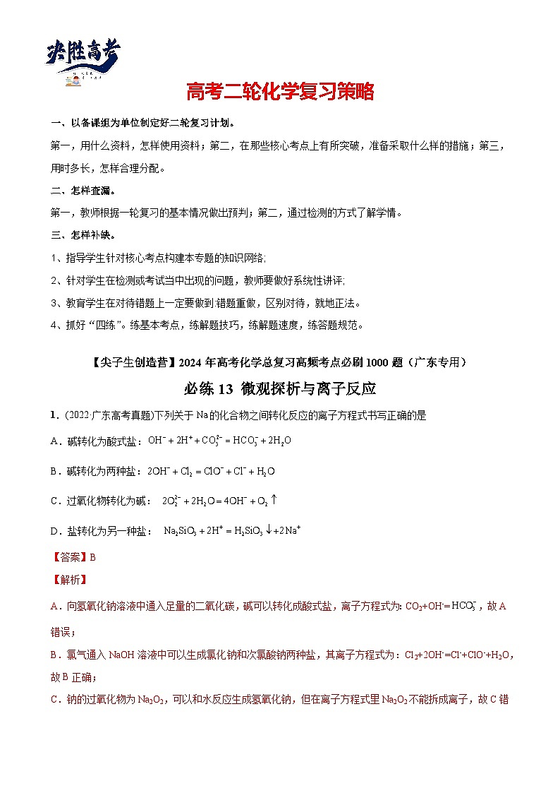 必练13 微观探析与离子反应-【高频考点】2024年高考化学总复习高频考点必刷1000题（广东专用）01