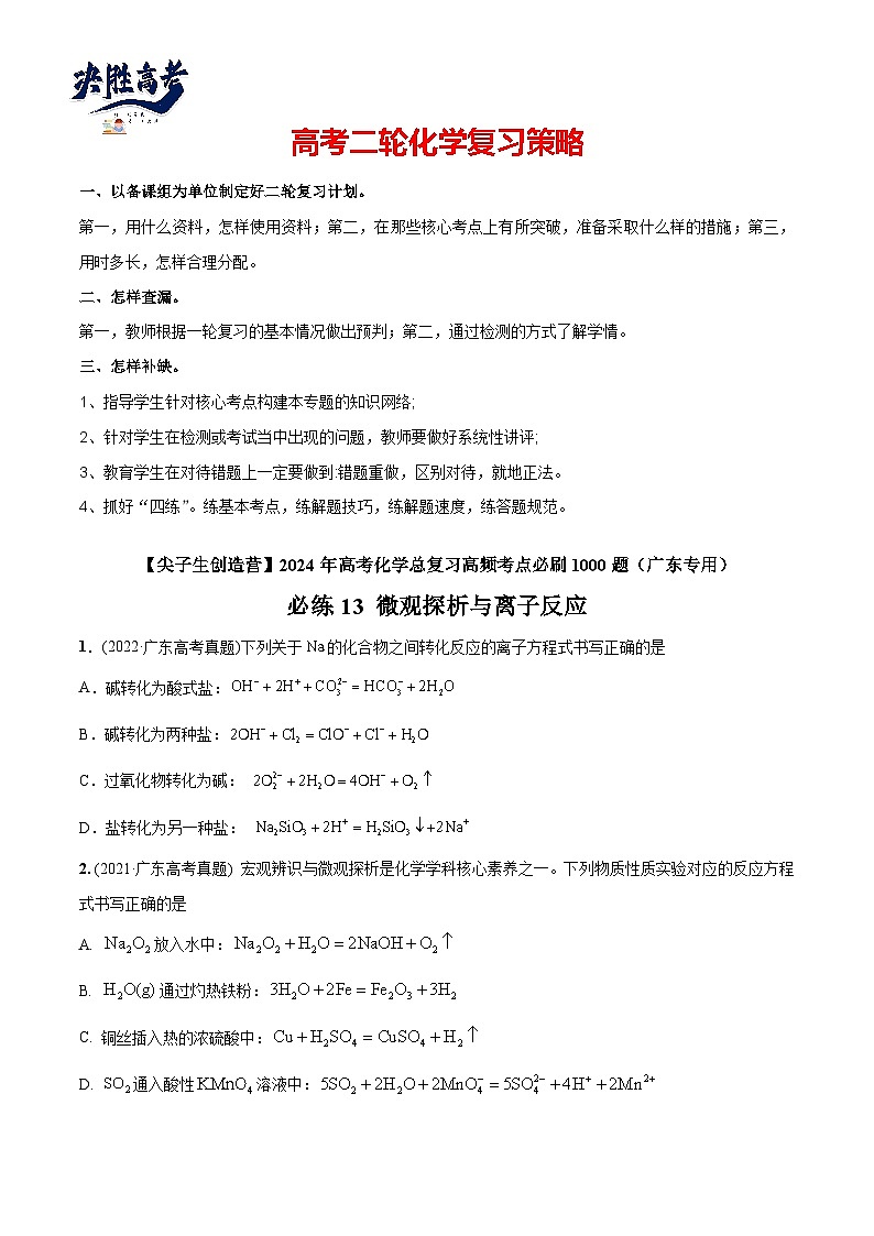 必练13 微观探析与离子反应-【高频考点】2024年高考化学总复习高频考点必刷1000题（广东专用）01